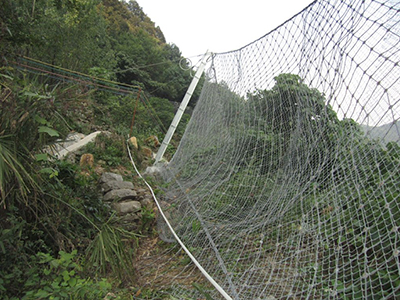 被動防護(hù)網(wǎng)